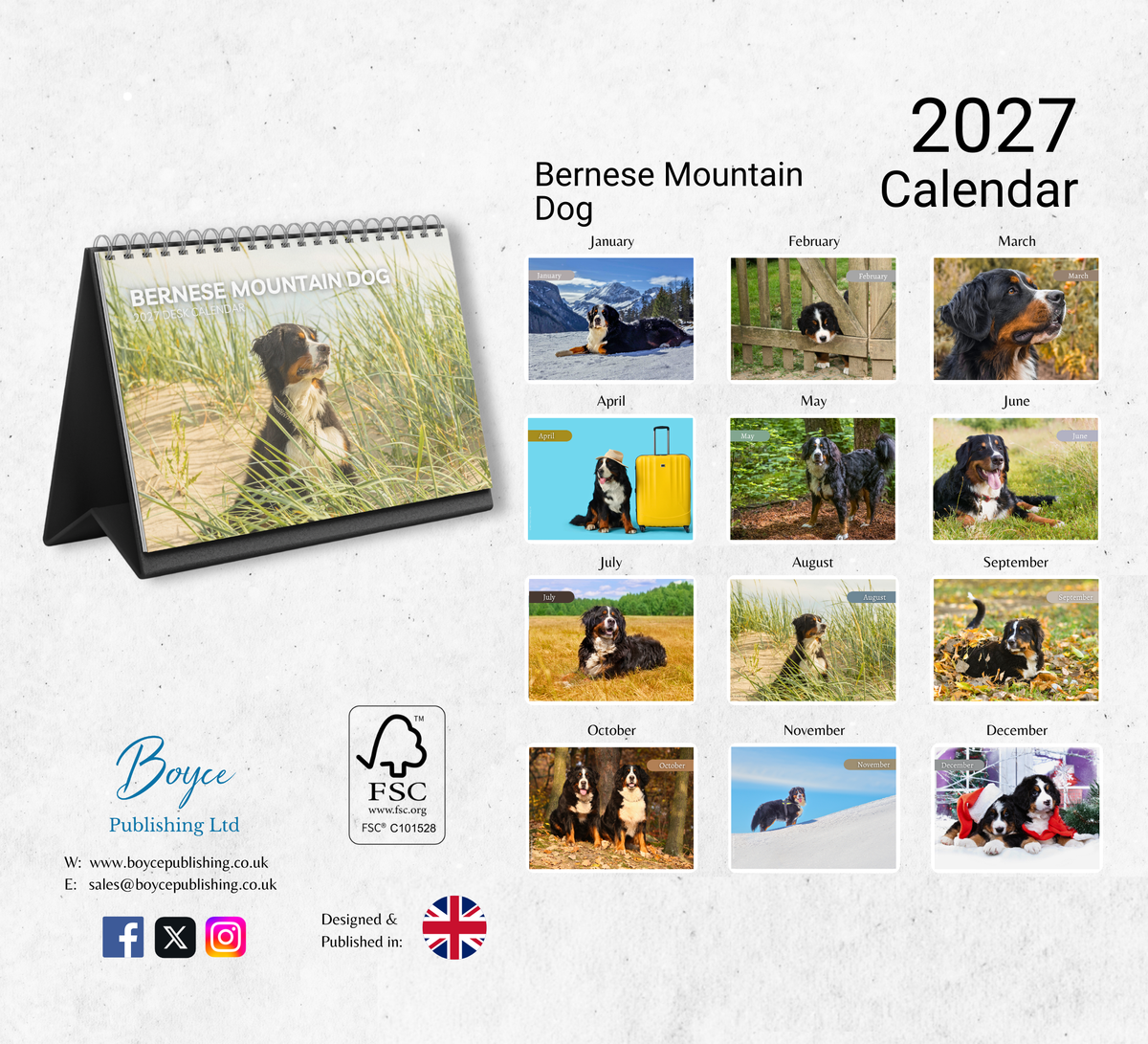 Bernese Mountain Dog Desk Calendar 2027-2028