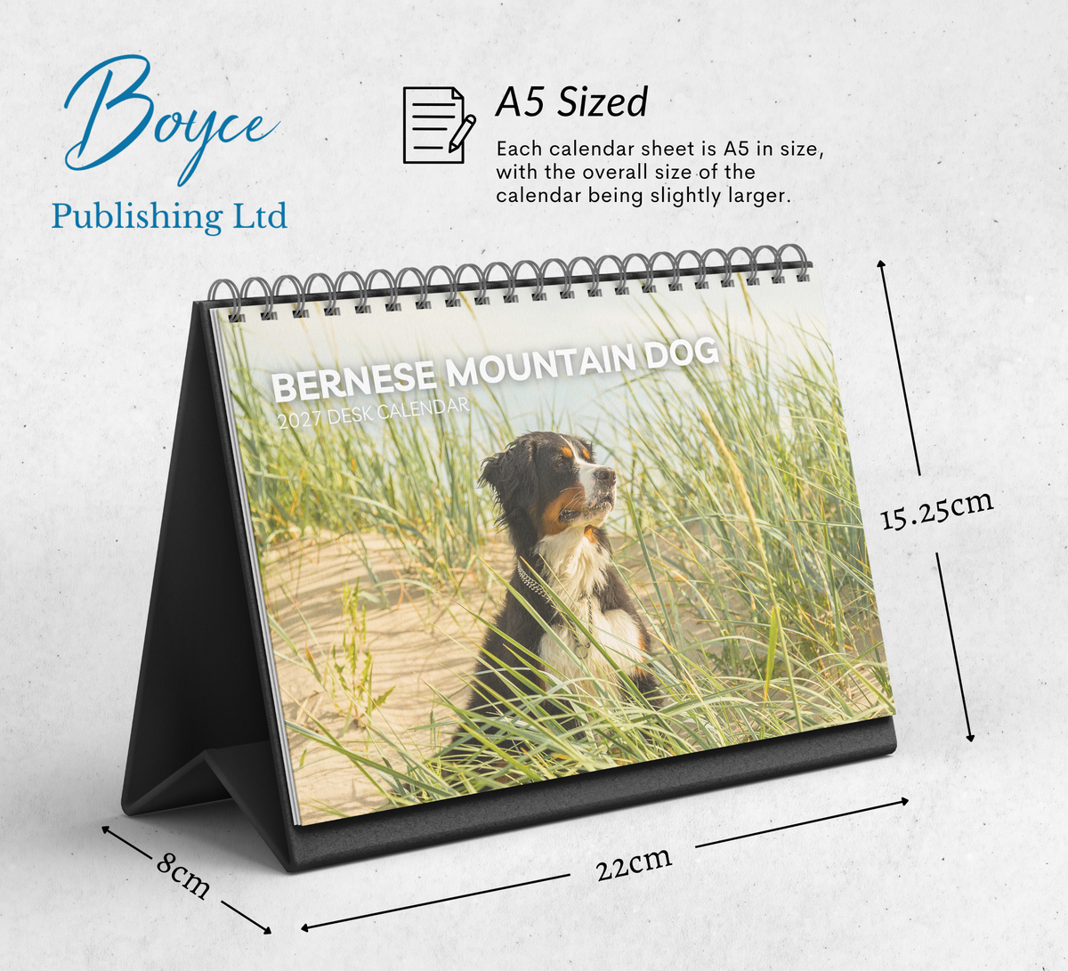 Bernese Mountain Dog Desk Calendar 2027-2028