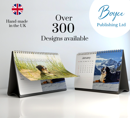 Bernese Mountain Dog Desk Calendar 2027-2028
