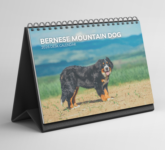 Bernese Mountain Dog Desk Calendar 2026-2027