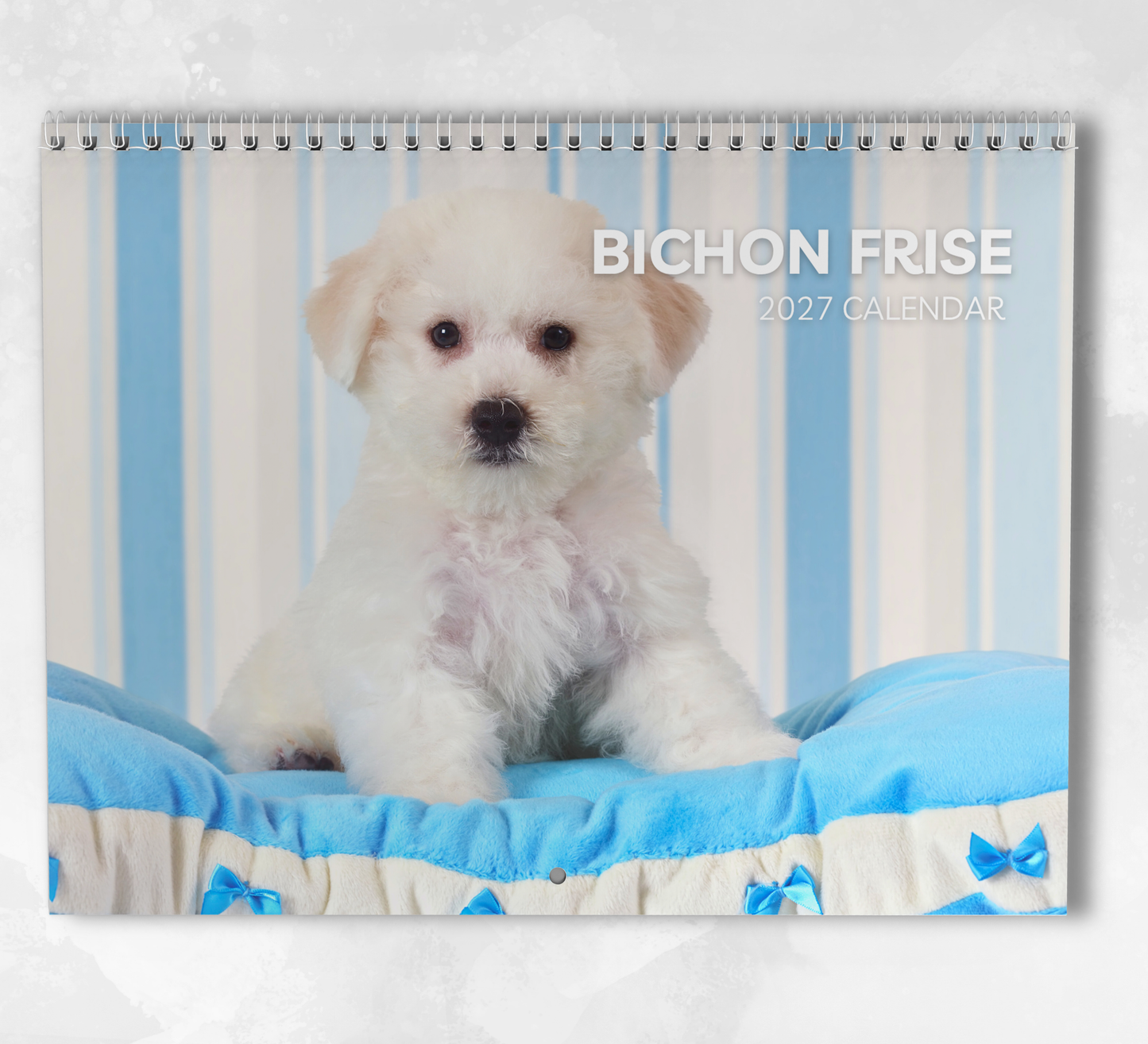 Bichon Frise Calendar 2027