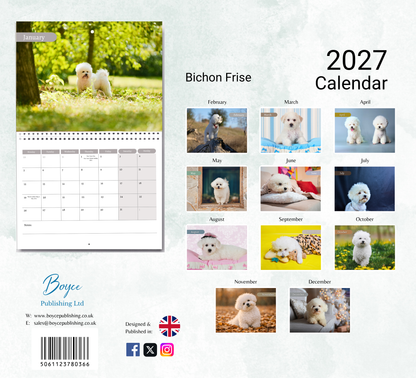 Bichon Frise Calendar 2027
