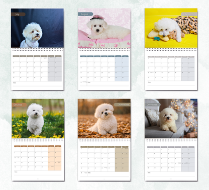 Bichon Frise Calendar 2027