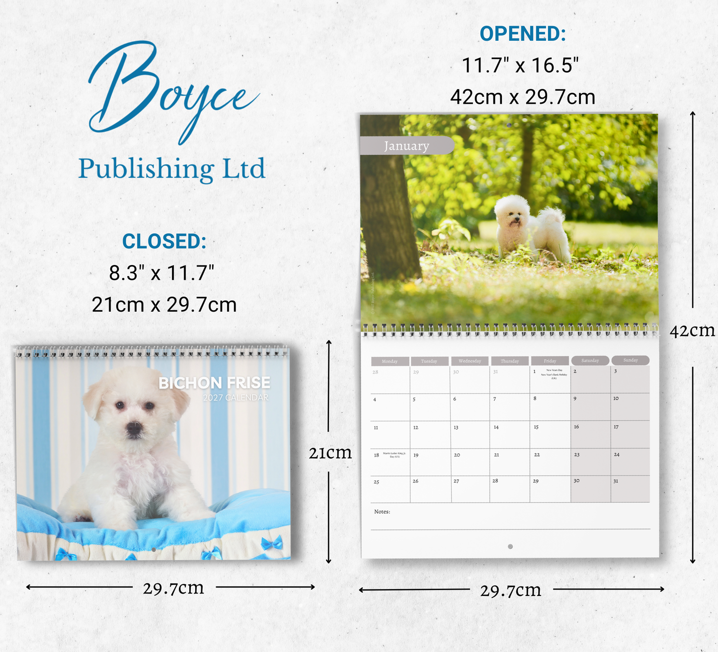 Bichon Frise Calendar 2027
