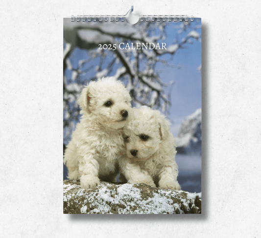 2025 Bichon Frise calendar featuring two bichon frise puppies sitting on a snowy rock, surrounded by snowy trees and branches.