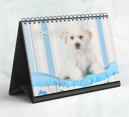 Bichon Frise Desk Calendar 2027-2028