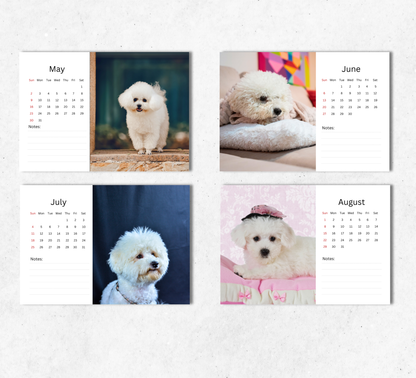 Bichon Frise Desk Calendar 2027-2028