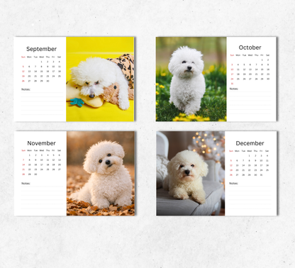 Bichon Frise Desk Calendar 2027-2028