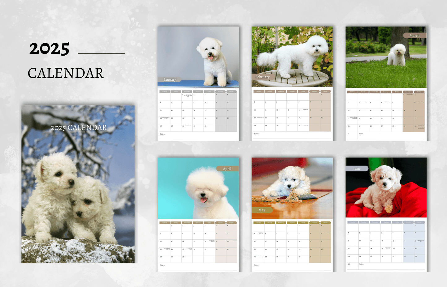 Bichon Frise Calendar 2025