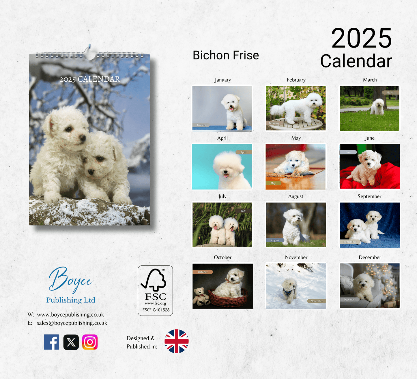 Bichon Frise Calendar 2025