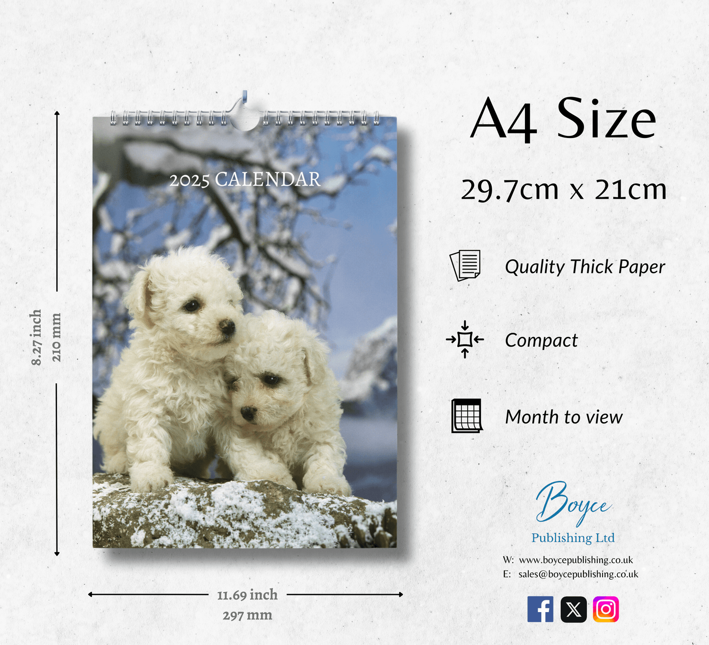 Bichon Frise Calendar 2025