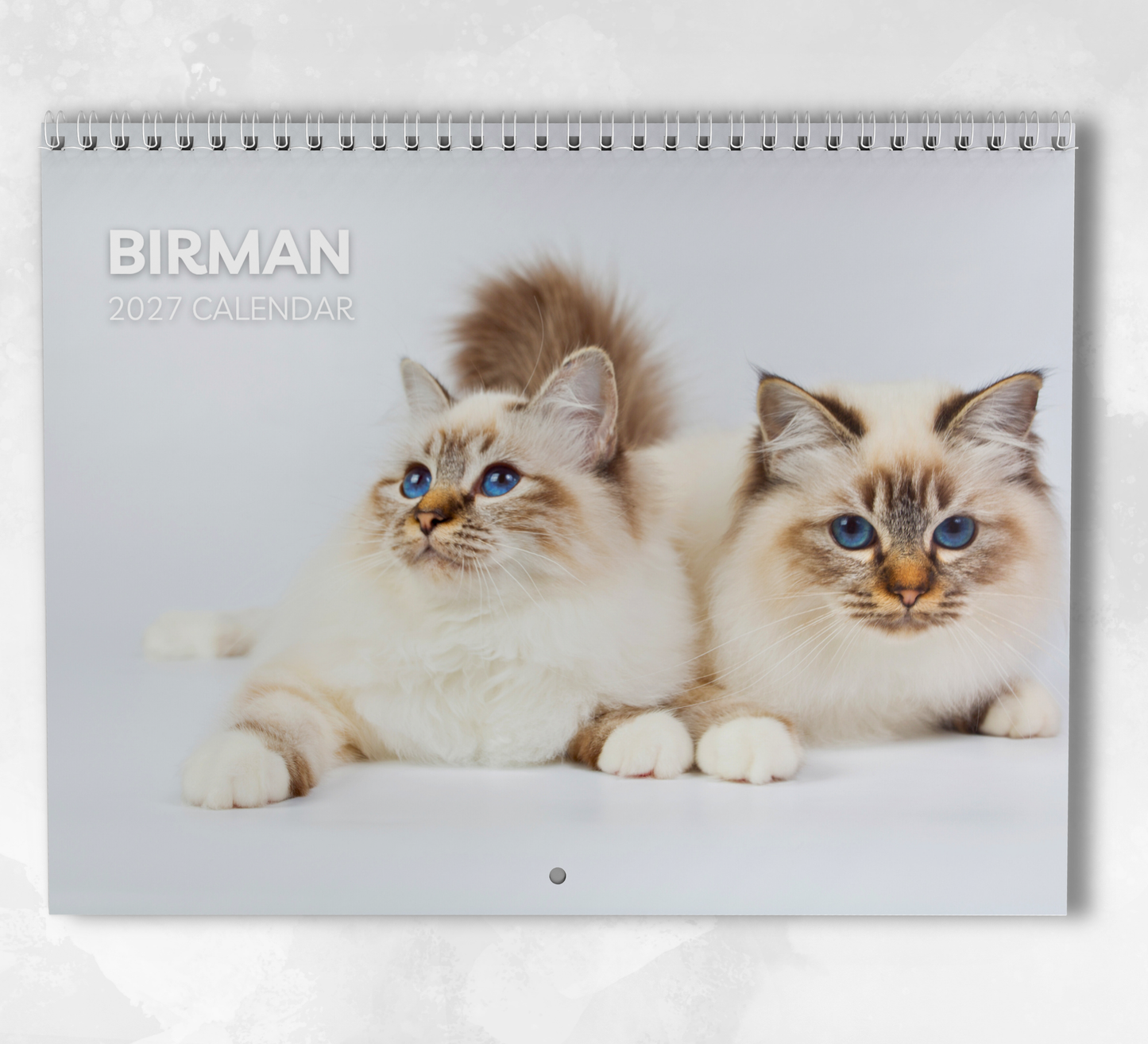 Birman Cat Calendar 2027
