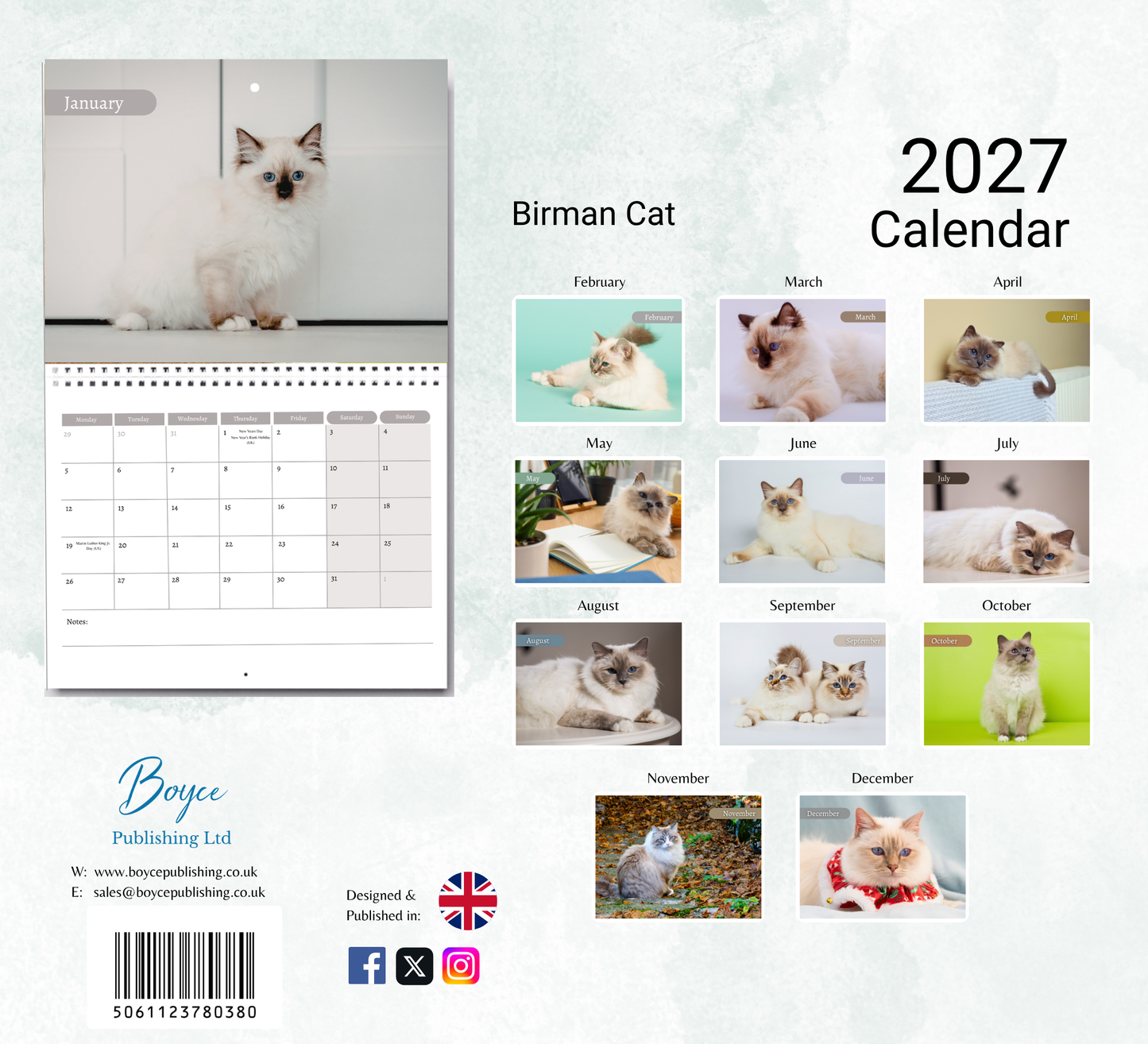 Birman Cat Calendar 2027