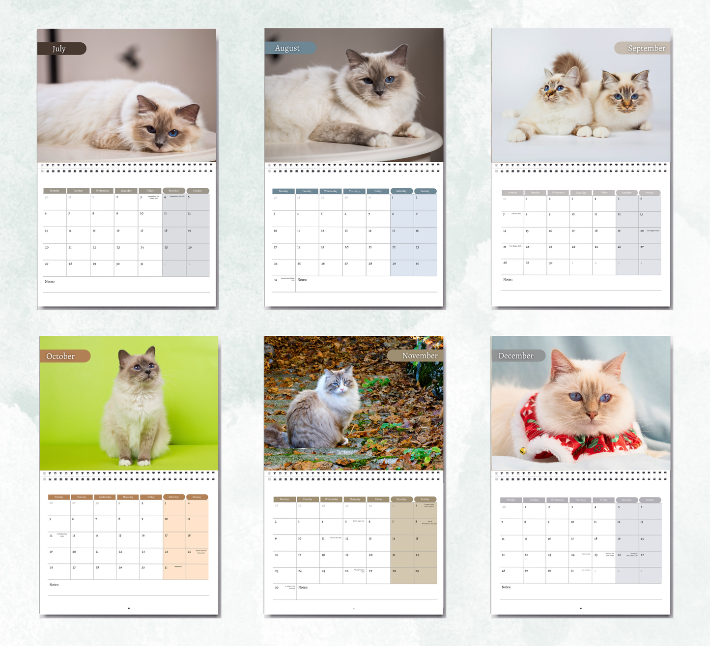 Birman Cat Calendar 2027