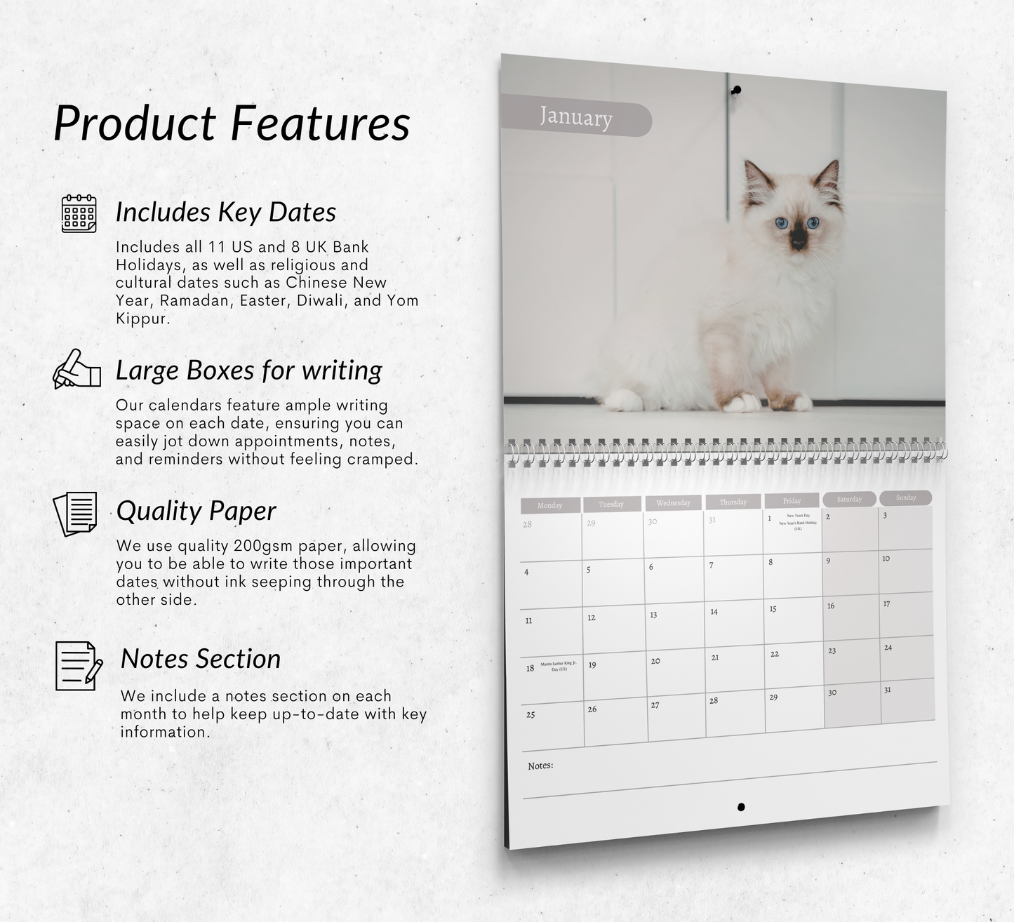 Birman Cat Calendar 2027
