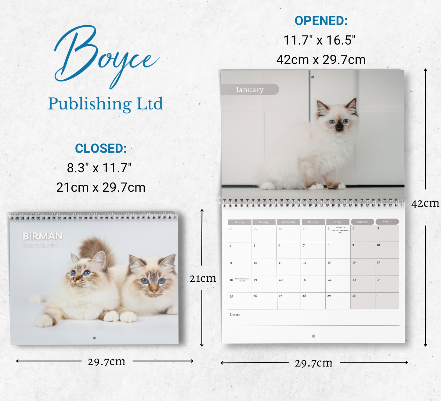 Birman Cat Calendar 2027