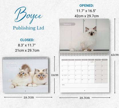 Birman Cat Calendar 2027