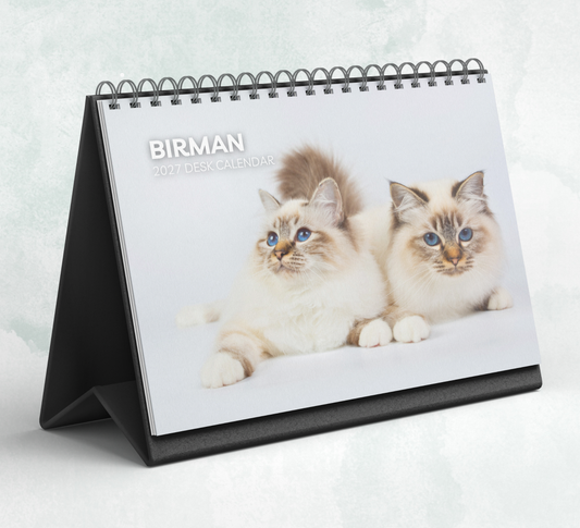 Birman Cat Desk Calendar 2027-2028