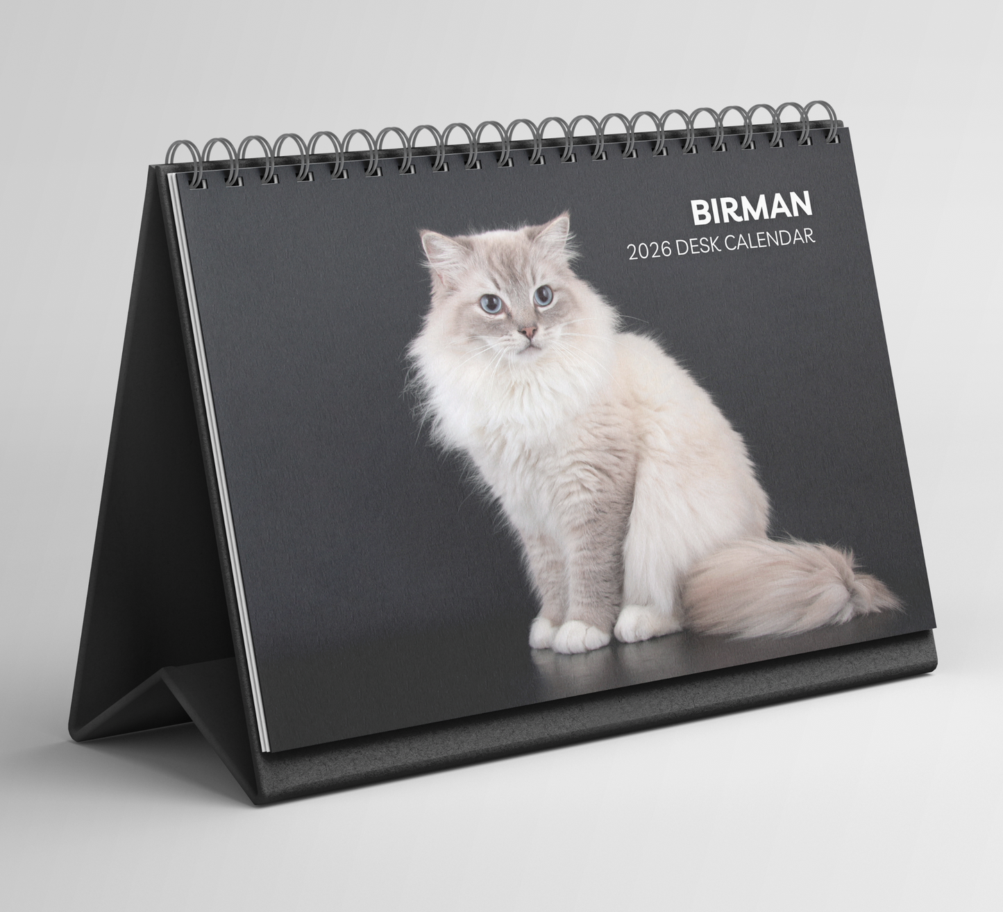 Birman Cat Desk Calendar 2026-2027