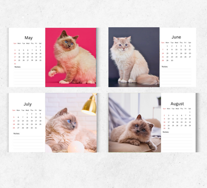 Birman Cat Desk Calendar 2026-2027