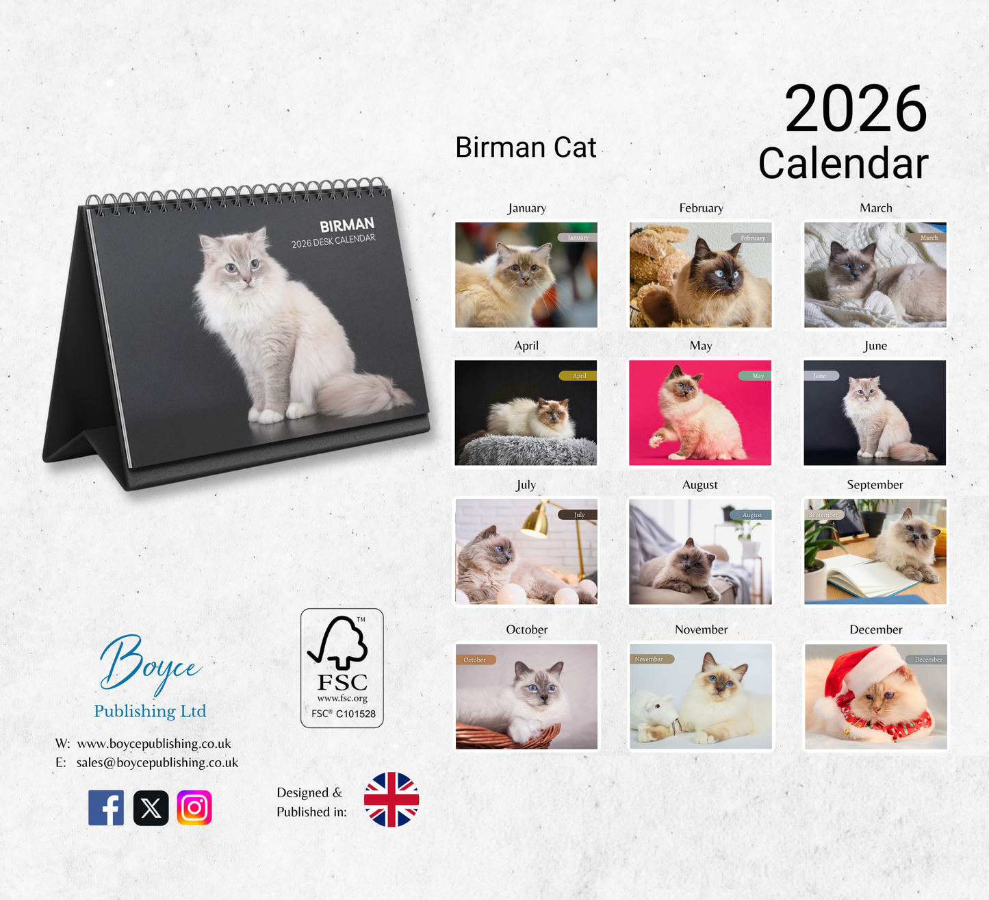 Birman Cat Desk Calendar 2026-2027