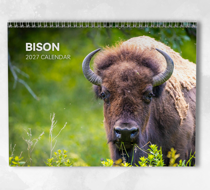 Bison Calendar 2027