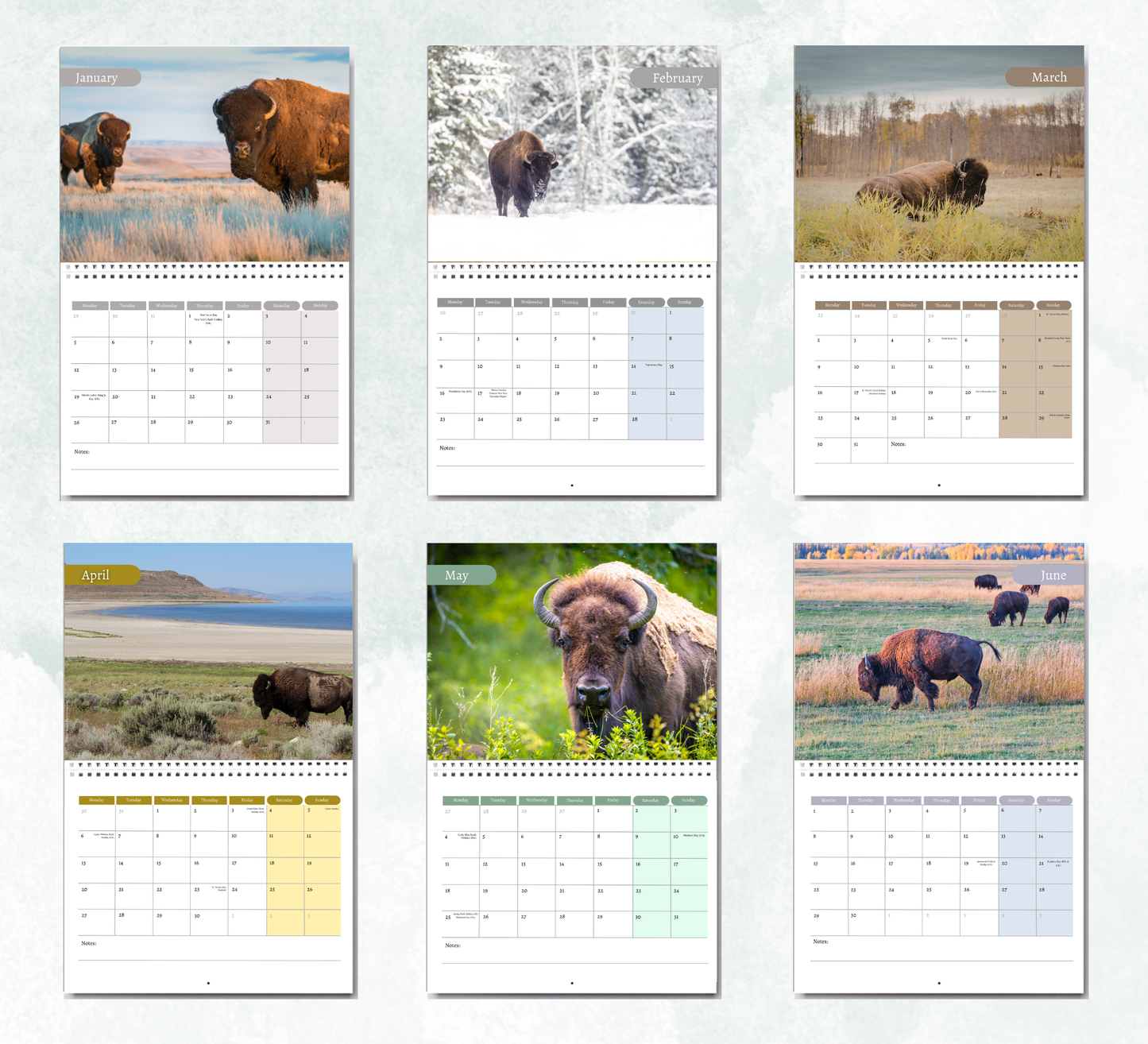 Bison Calendar 2027