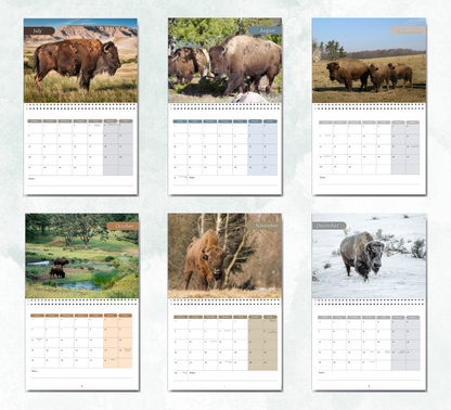 Bison Calendar 2027