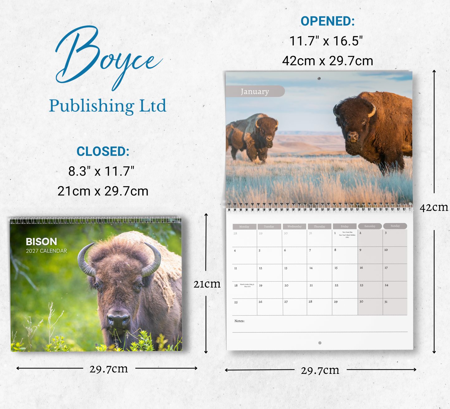 Bison Calendar 2027