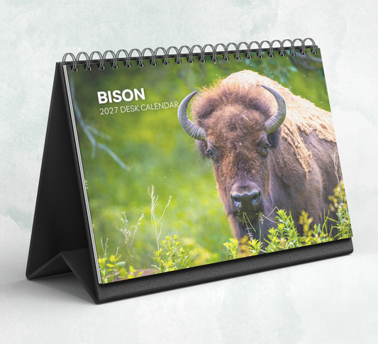 Bison Desk Calendar 2027-2028