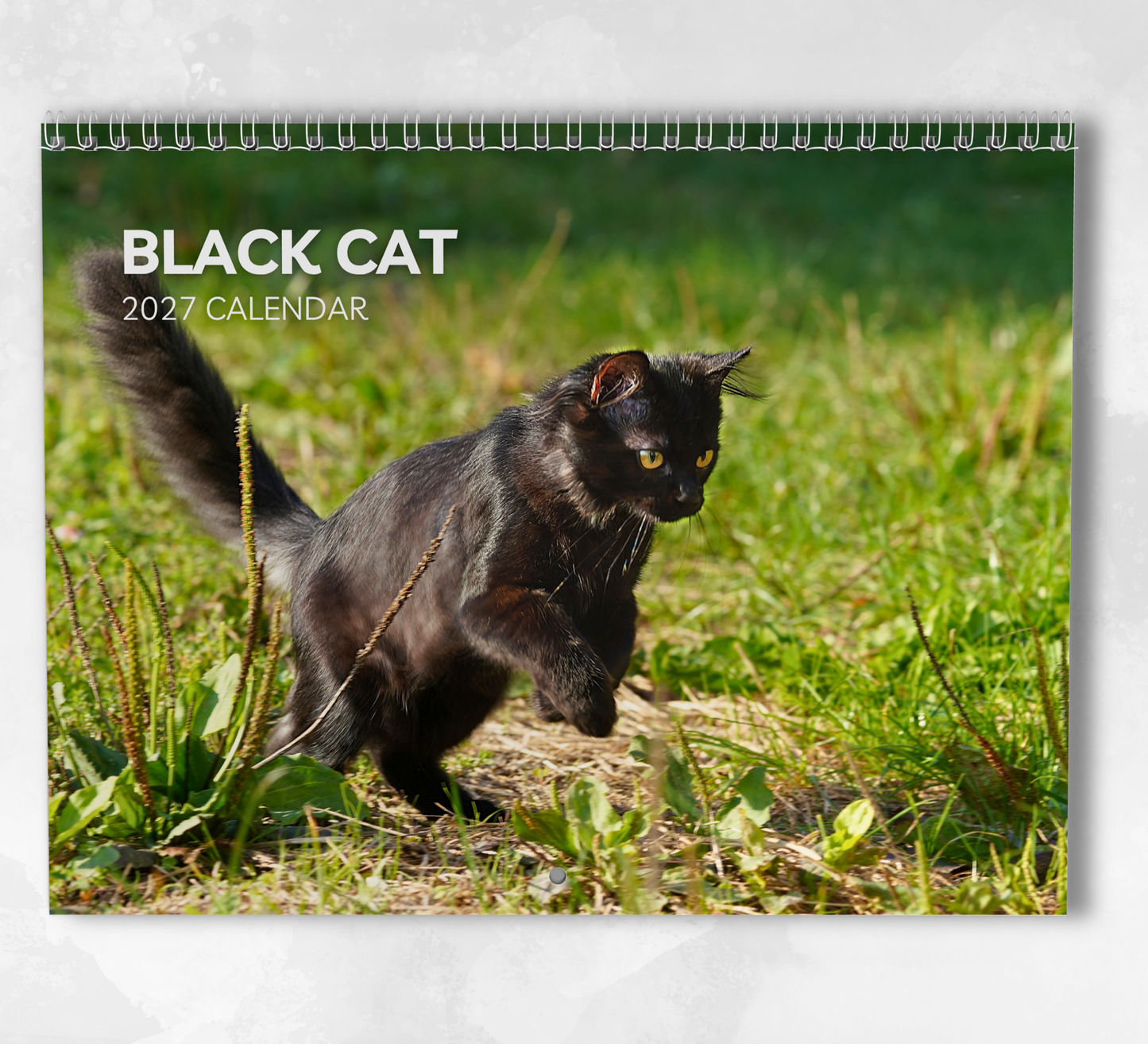 Black Cat Calendar 2027