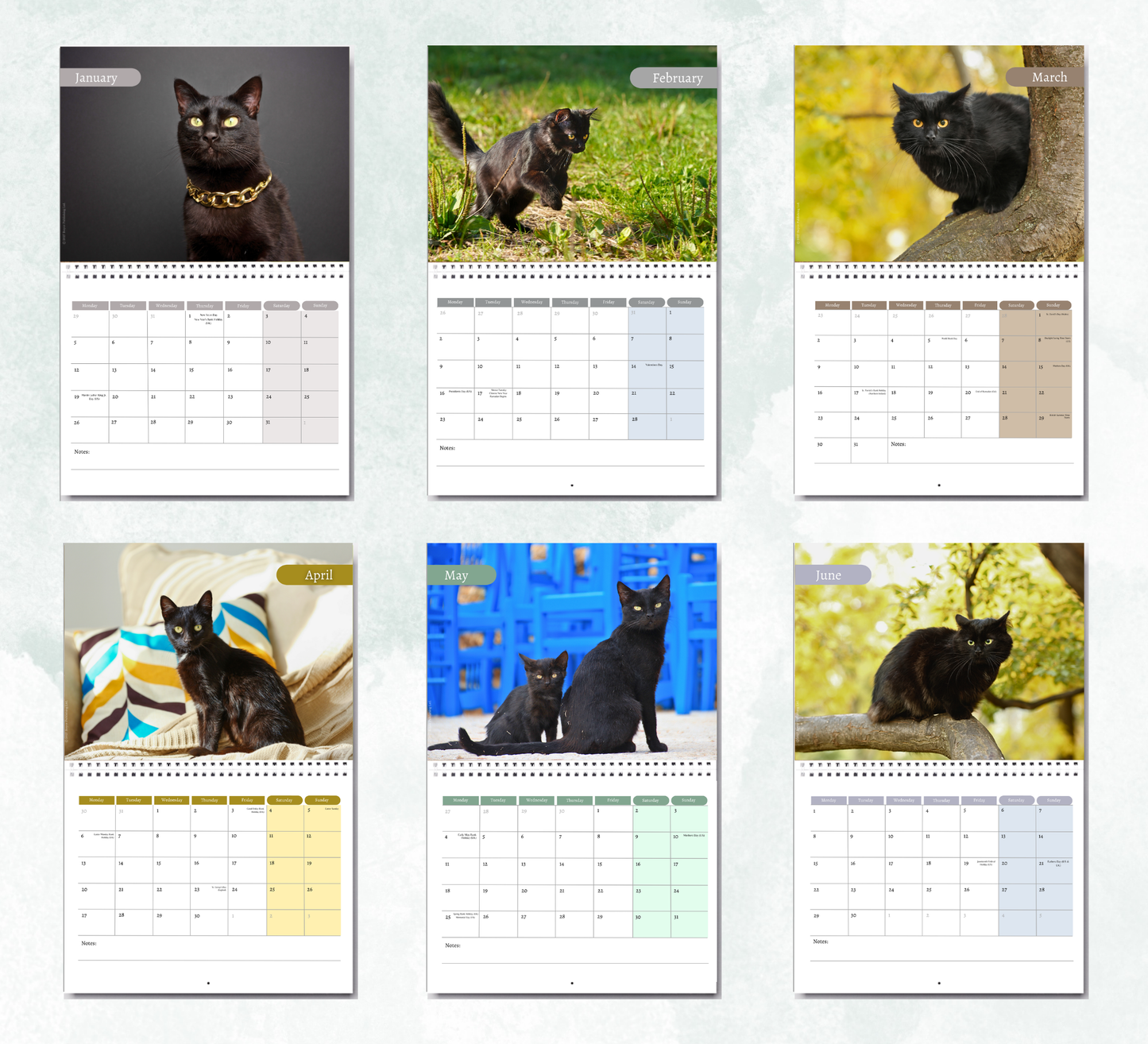 Black Cat Calendar 2027