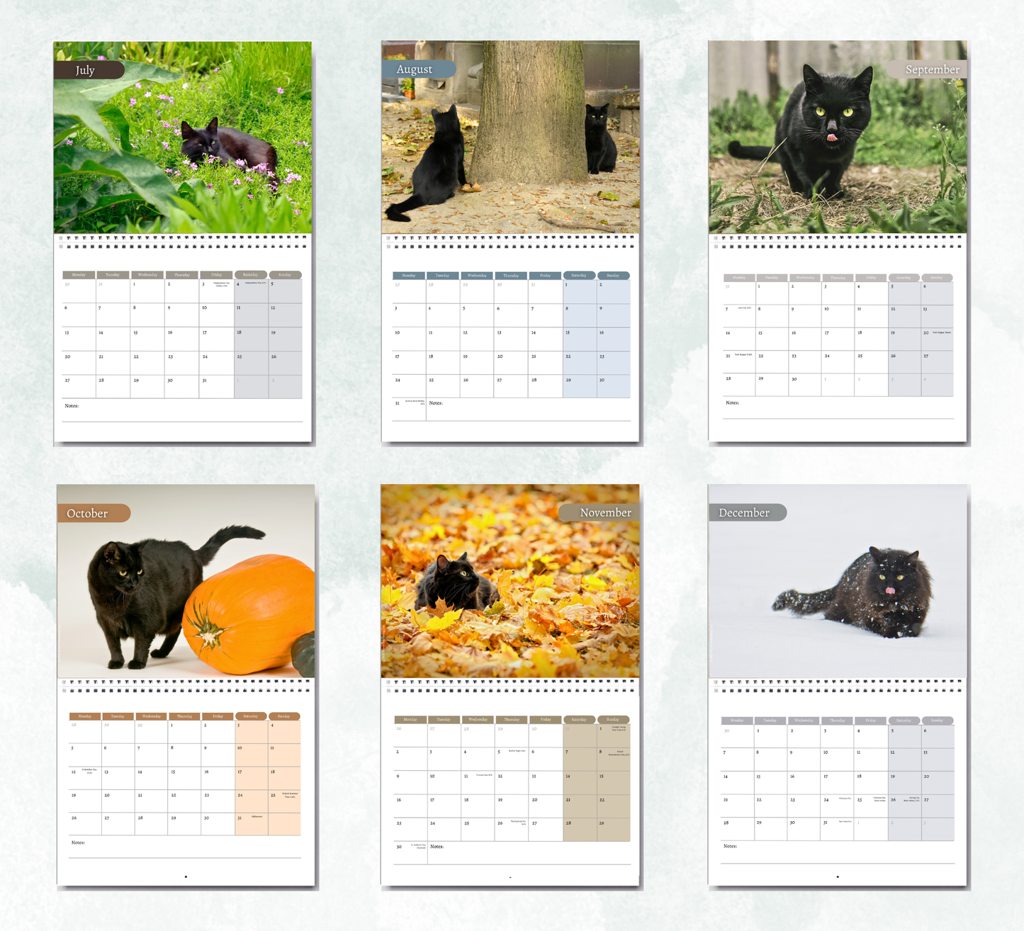 Black Cat Calendar 2027