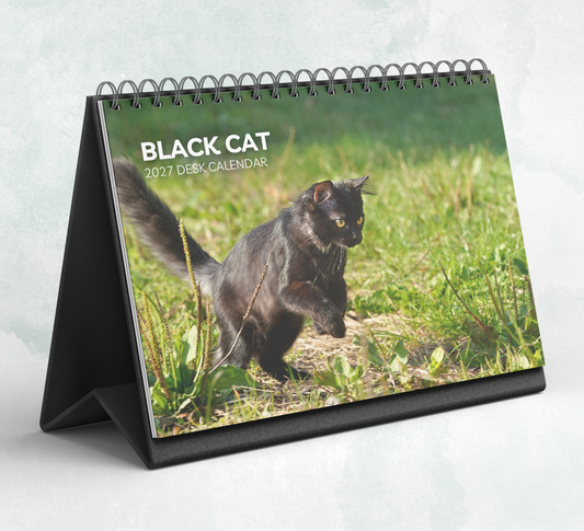 Black Cat Desk Calendar 2027-2028