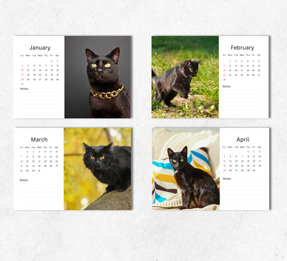 Black Cat Desk Calendar 2027-2028