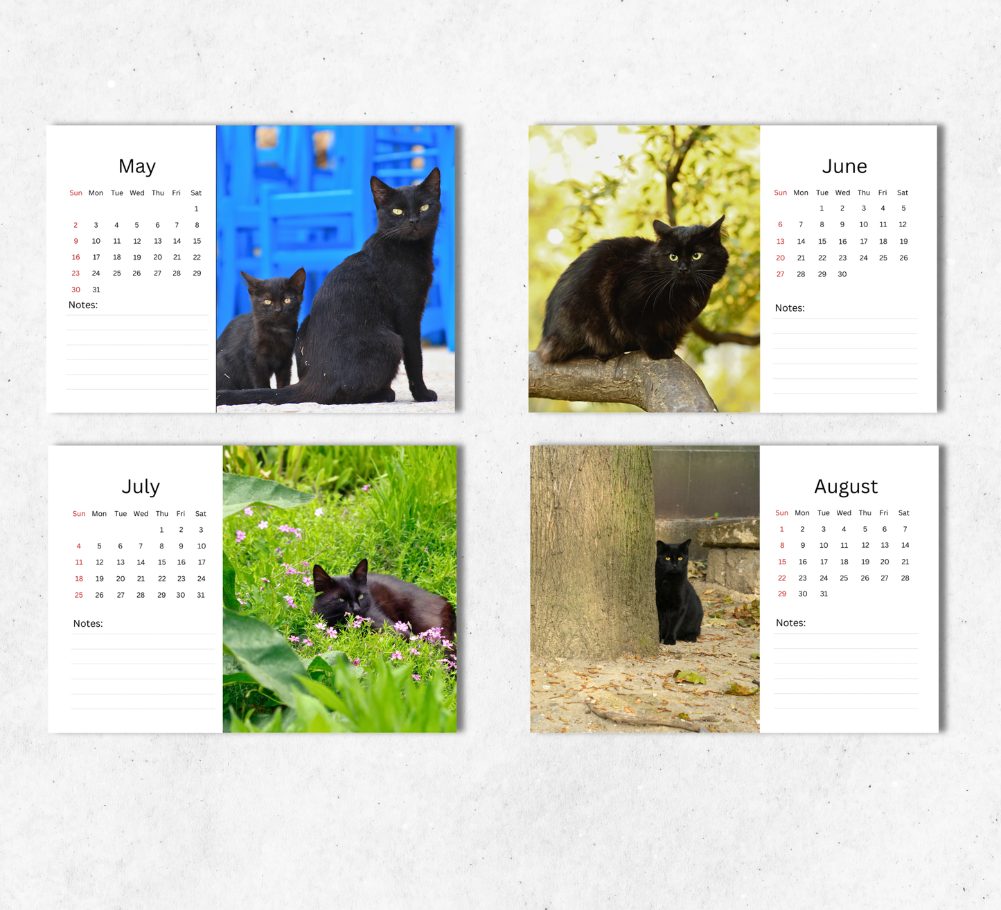 Black Cat Desk Calendar 2027-2028