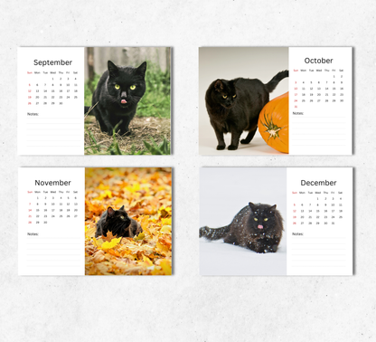Black Cat Desk Calendar 2027-2028