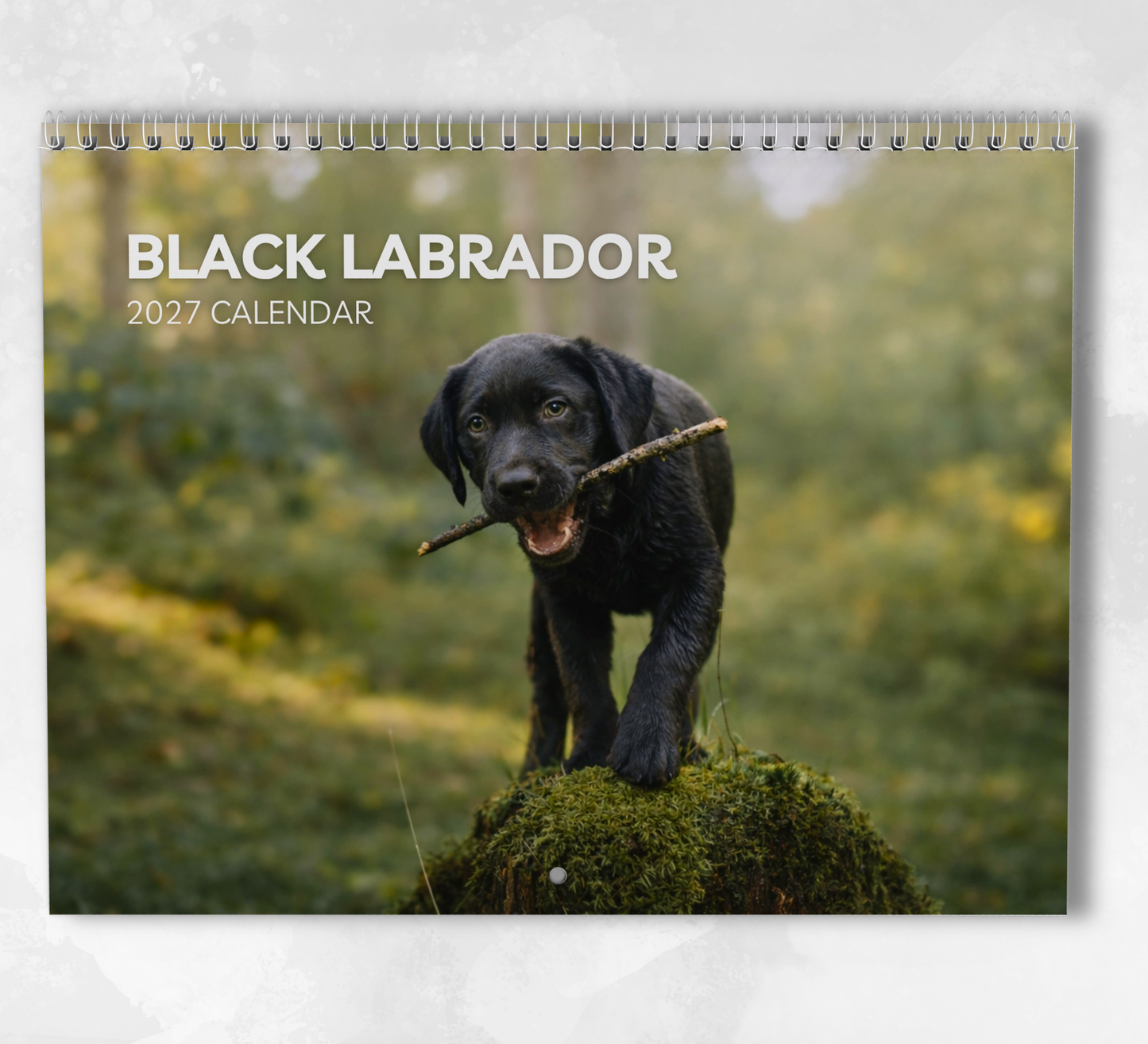 Black Labrador Calendar 2027