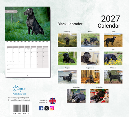 Black Labrador Calendar 2027