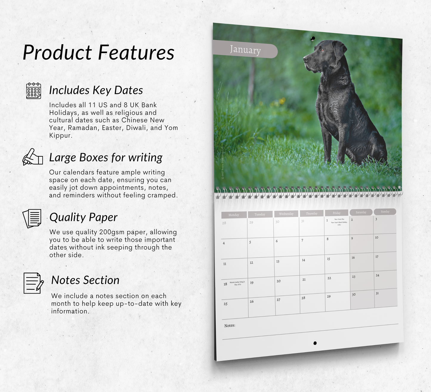 Black Labrador Calendar 2027
