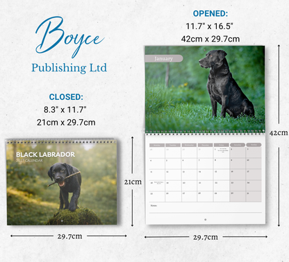 Black Labrador Calendar 2027