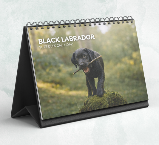 Black Labrador Desk Calendar 2027-2028