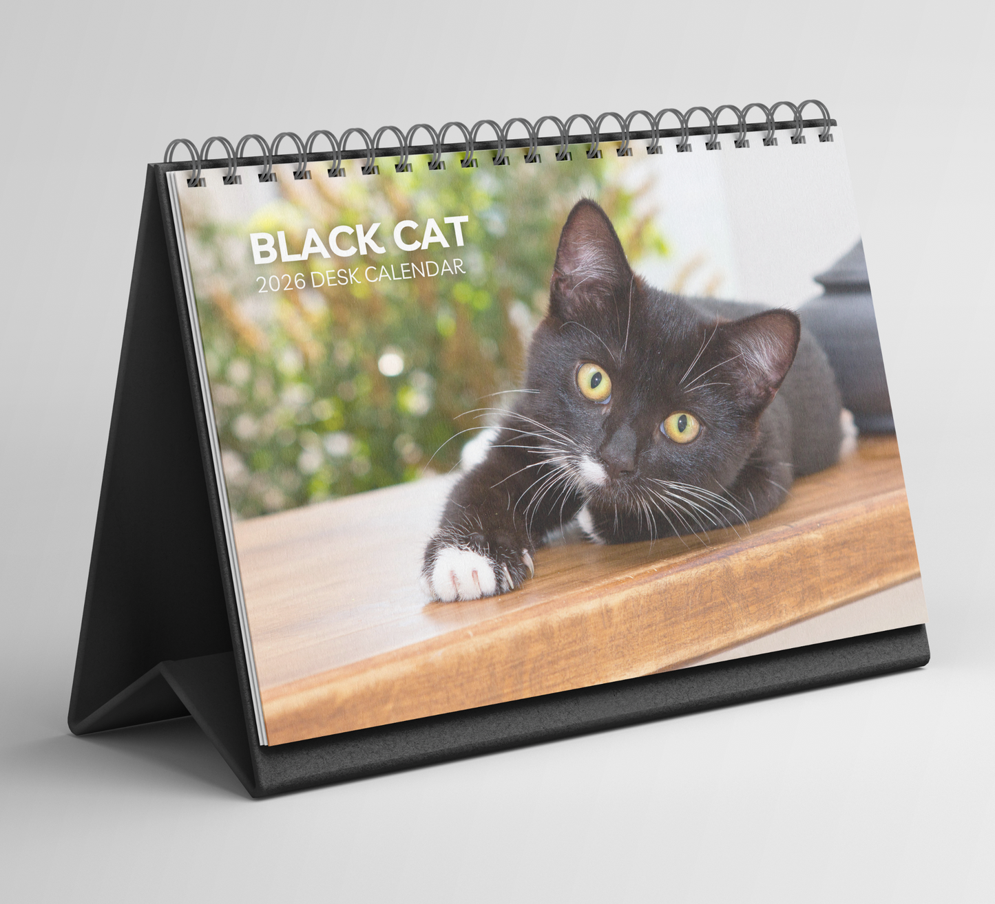 Black Cat Desk Calendar 2026-2027