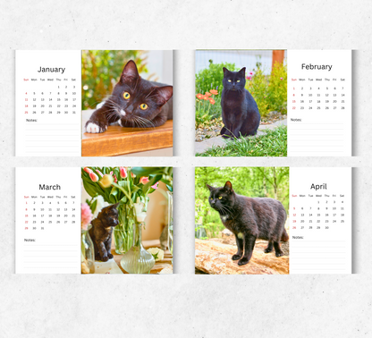 Black Cat Desk Calendar 2026-2027