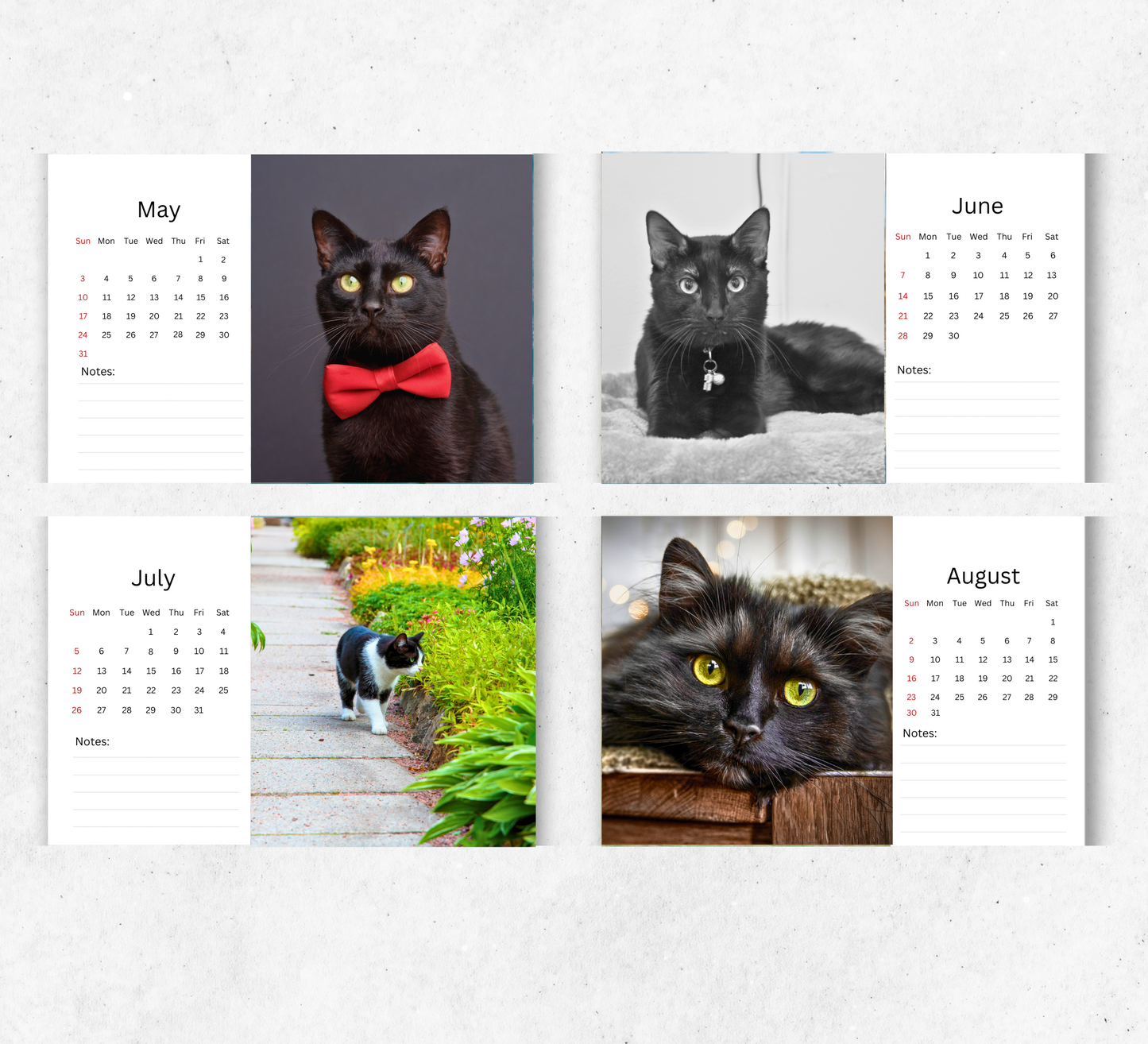 Black Cat Desk Calendar 2026-2027