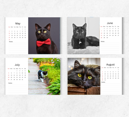 Black Cat Desk Calendar 2026-2027
