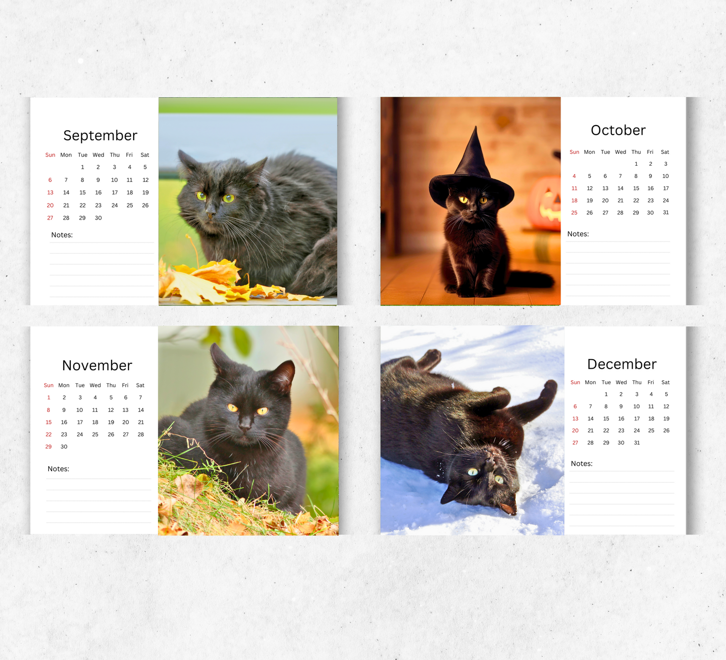 Black Cat Desk Calendar 2026-2027