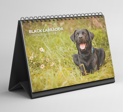 Black Labrador Desk Calendar 2026-2027
