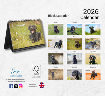 Black Labrador Desk Calendar 2026-2027