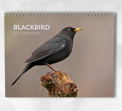 Blackbird Calendar 2027